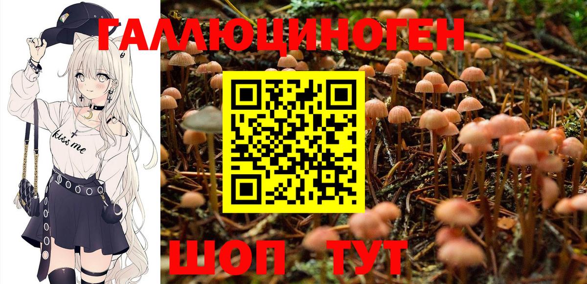 Псилоцибиновые грибы прущие грибы  где продают   Протвино  Вход с VPN 